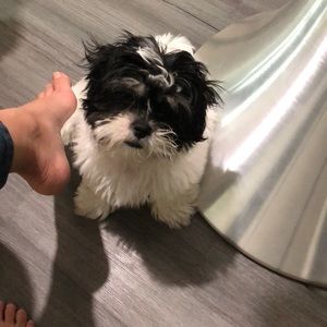 Meet your Posher, Nicole